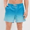 AE 5.5" Ombre Swim Trunk