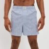 AEO Striped Stretch Boxer Short