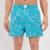 AEO Mushrooms Stretch Boxer Short