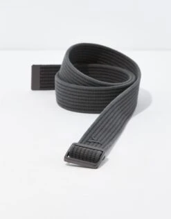 AEO Ribbed Web Belt