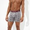 AEO Eagles 6" Classic Boxer Brief -Ae Shop 0235 1101 020 of