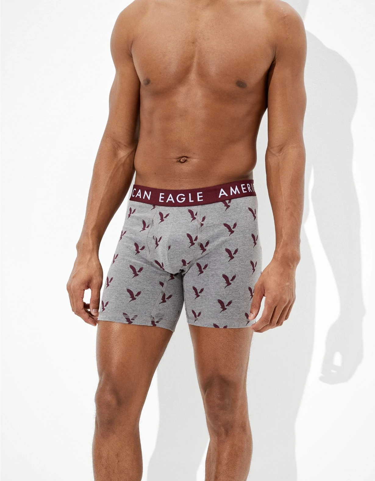 AEO Eagles 6" Classic Boxer Brief 3 AEO Eagles 6" Classic Boxer Brief