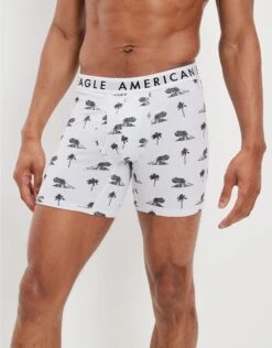 AEO Volcano Isle 6" Classic Boxer Brief