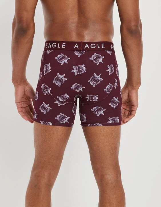 AEO Glass Turtles 6" Classic Boxer Brief 4 AEO Glass Turtles 6" Classic Boxer Brief - Image 2