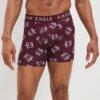 AEO Glass Turtles 6" Classic Boxer Brief
