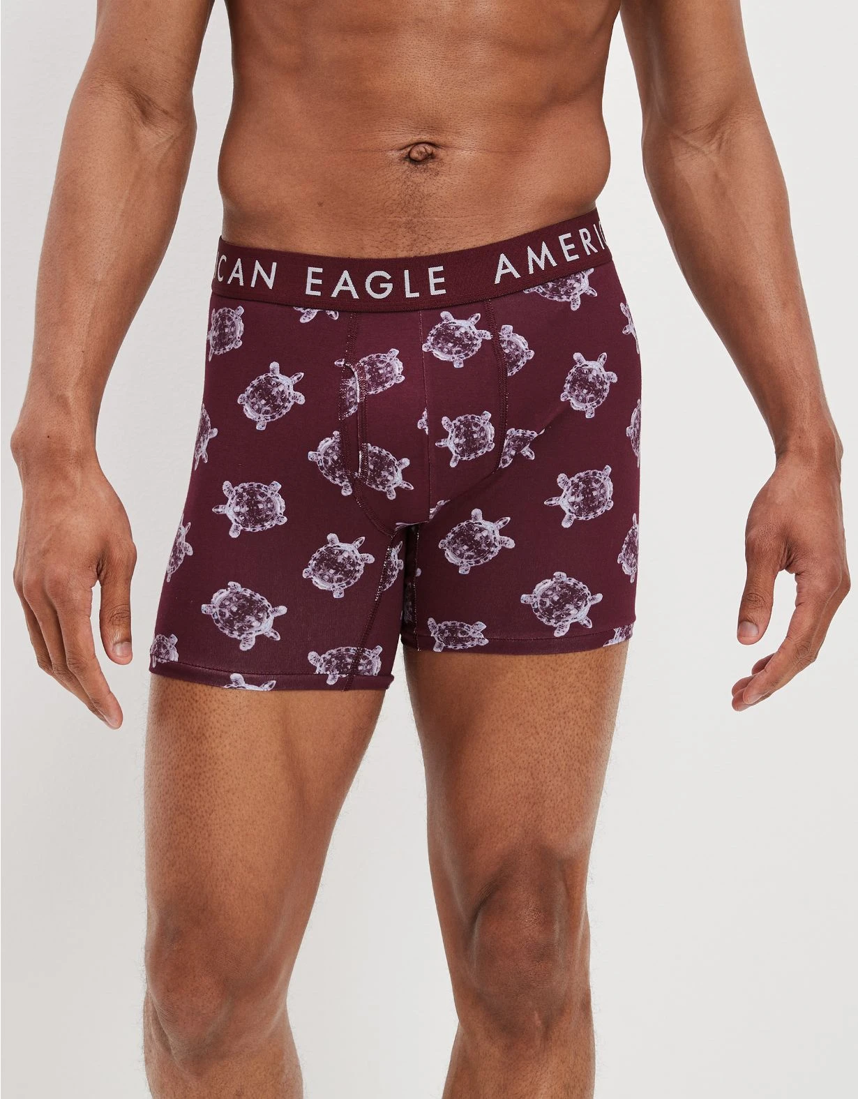 AEO Glass Turtles 6" Classic Boxer Brief 3 AEO Glass Turtles 6" Classic Boxer Brief